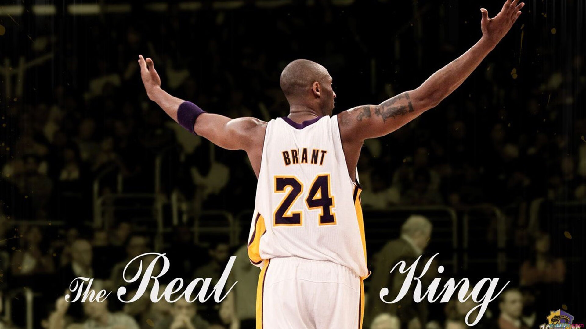 莱奥的完美舞步，当非洲雄狮在卡塔尔沙漠中咆哮