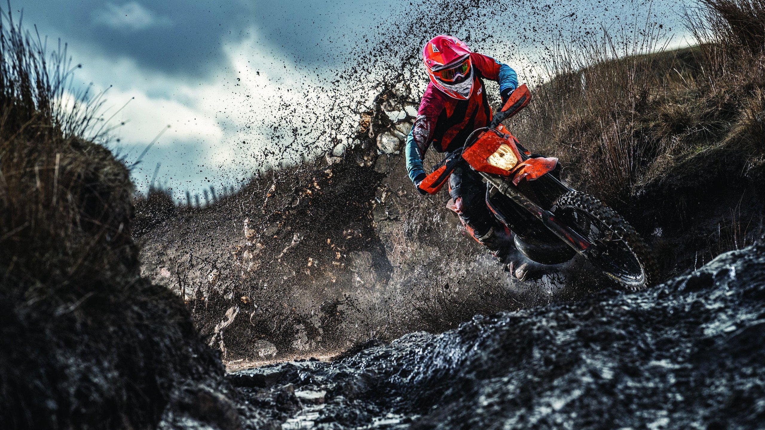 药厂铁血淬火，一场硬仗如何重塑奥运周期的竞技哲学